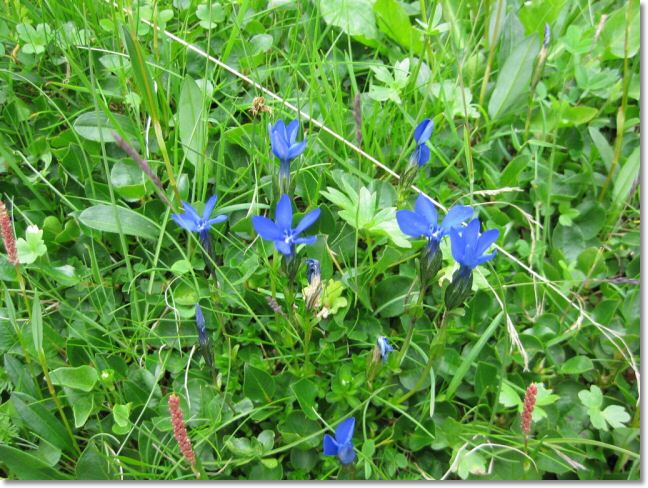 Via Spluga 2010 (97).jpg